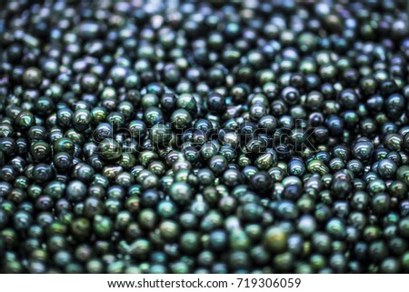 black cultured pearls, tahiti polynesia