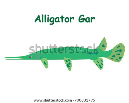 Download Alligator Gar Stock Images, Royalty-Free Images & Vectors | Shutterstock