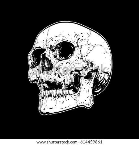 Vector skull artwork human skull on isolated black background Vector skull artwork human skull on isolated black background
