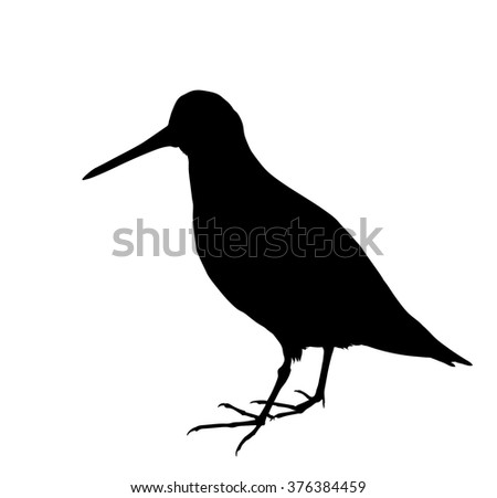 Bird Silhouette On White Background Vector Stock Vector 89779915 ...