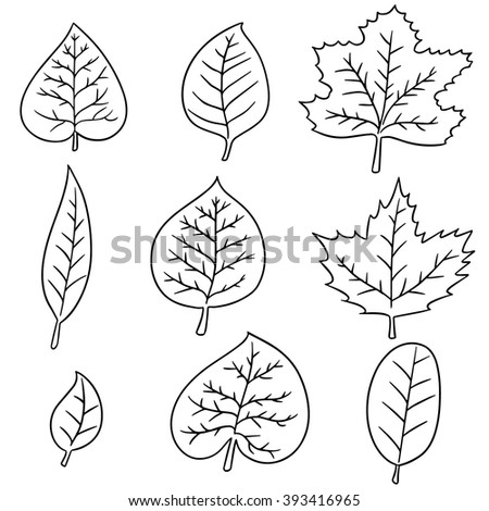 Set Leaves Stock Vector 359659745 - Shutterstock