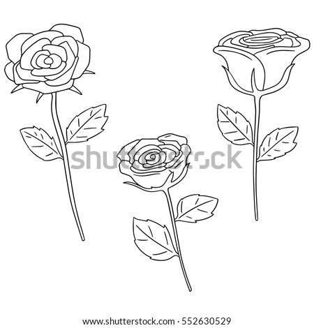 Three Roses Hand Drawn Style Stock Vector 66560365 - Shutterstock