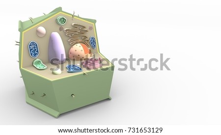 stock photo plant cell biological science d render 731653129