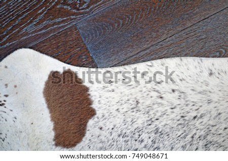 Zebu Silver Cowhide Leather Hair Details Stock Photo 749048671