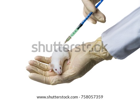 Injection In Mouse Stock Images, Royalty-Free Images & Vectors ...