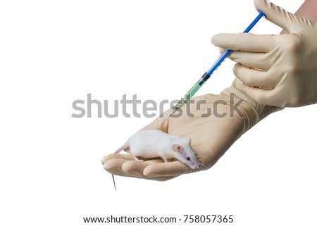 Injection In Mouse Stock Images, Royalty-Free Images & Vectors ...