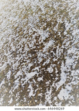 Thaw - Earth Ground Thaw - Earth Ground