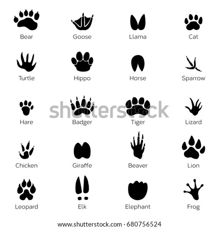 Different Footprints Birds Animals Vector Monochrome Stock Vector ...