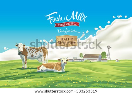 Two cows in the background of the summer landscape and splash from the milk, as well as graphic elements.