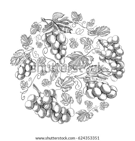 Circle pattern bunches of grape doodle with repeating beautiful berries on white background hand drawing vector illustration