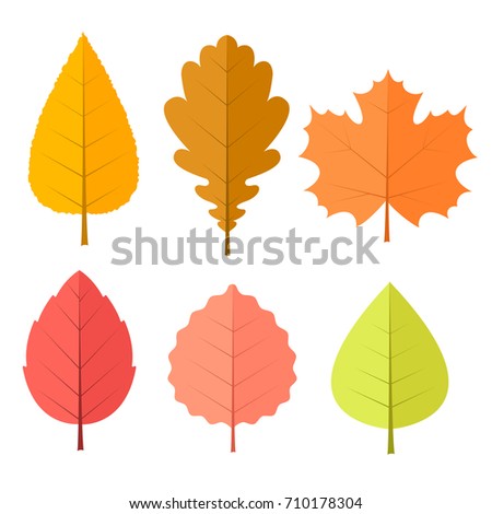 Autumn Leaves Set Isolated On White Stock Vector 710178304 - Shutterstock