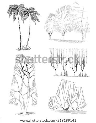 Architectural Drawing Set architectural plant stock photos, royalty-free images & vectors Architectural Drawing Set architectural plant stock photos, royalty-free images & vectors