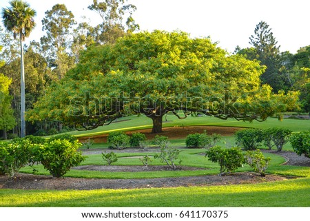 Botanical garden brisbane city