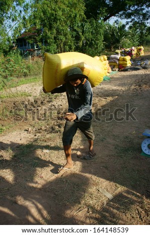 DONG THAP, VIET NAM- NOVEMBER 12: Paddy grain in rice sack & arrange in pile, porter carry rice sack in Dong Thap, Viet Nam, November 12, 2013