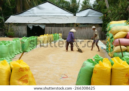 VINH LONG, VIET NAM- MAR 23: Couple of Asia farmer dry rice on drying ground, group of paddy bag to temporary storage when crop finish, Mekong Delta is big Vietnamese granary, Vietnam, Mar 23, 2015