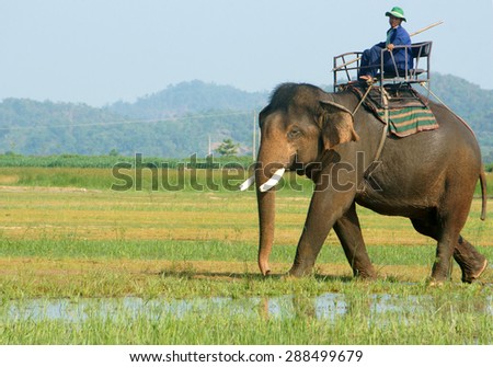 BUON ME THUOT- VIET NAM- JUNE 11: Asia travel in summer vacation at beautiful Vietnamese countryside, traveler travelling by ride elephant in eco tour, green landscape of rural, Vietnam, June 11, 2015