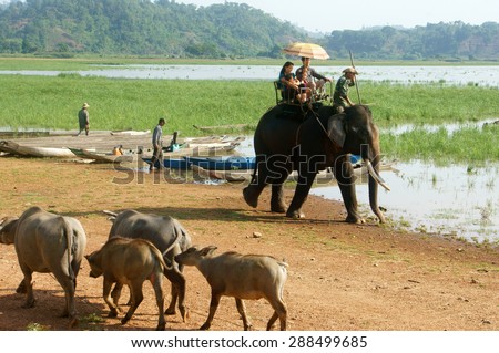 BUON ME THUOT- VIET NAM- JUNE 11: Asia travel in summer vacation at beautiful Vietnamese countryside, traveler travelling by ride elephant in eco tour, green landscape of rural, Vietnam, June 11, 2015