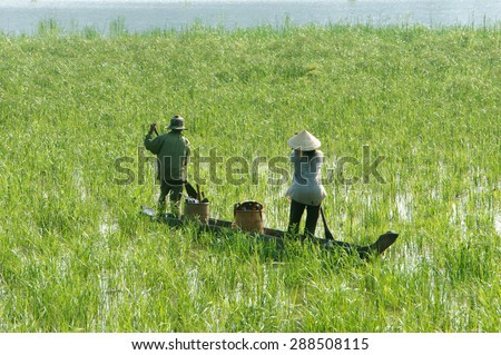 DAK LAK- VIET NAM- JUNE11: Group of Asian farmer go to work by row boat on Lak lake in summertime, family of ethnic minority, grass on lake, amazing view for Asia travel, Daklak, Vietnam, June11, 2015