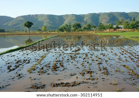 Agriculture field after harvest season, beautiful landscape of nature, flooded farm, tree reflect on water, chain of mountain behind, green countryside of Daklak, Viet Nam