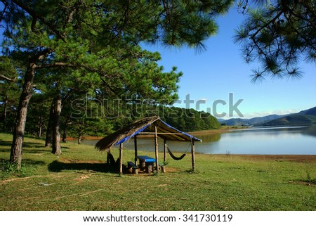 Dalat countryside landscape, Suoi Vang, place for travel, camp under pine tree among pine forest, beautiful scene for ecotourism at Da Lat, Vietnam, fresh air, green grass, harmony nature