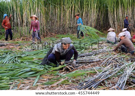 SOC TRANG, VIET NAM- JULY 14, 2016: Group of Asian farmer working on sugar cane field