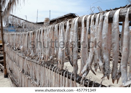 Seafood at Ca Mau fishing village, Mekong Delta, Vietnam. Dried fish is popular Vietnamese food, can store for long time