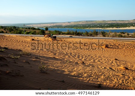 Vietnamese landscape at Bau Trang, Hoa Thang, Binh Thuan, Viet Nam. Wonderful place for travel in summer, people ride wagon moving on sand hill, lake among dry land make nice scene