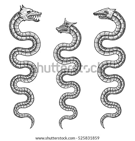 Sea Serpent Stock Photos, Royalty-Free Images & Vectors - Shutterstock