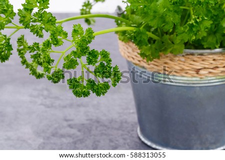 Easy bush cooking recipes Easy bush cooking recipes