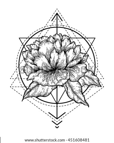 hand drawn vector isolated illustration flower stock vector hand drawn vector isolated illustration flower stock vector