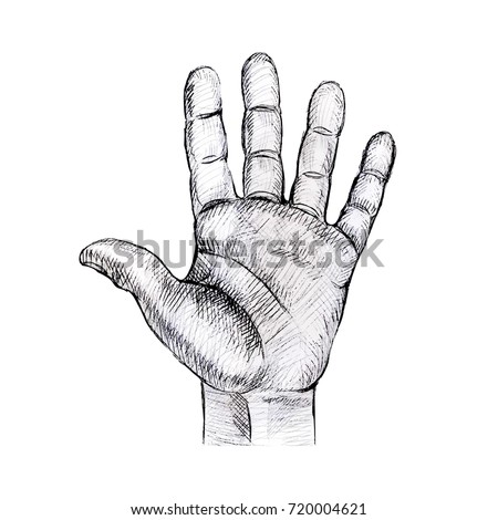 Hand Palm Up Stock Images, Royalty-Free Images & Vectors | Shutterstock