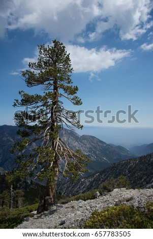 mt baldy singles Meet mt baldy singles online & chat in the forums dhu is a 100% free dating site to find personals & casual encounters in mt baldy. mt baldy singles Meet mt baldy singles online & chat in the forums dhu is a 100% free dating site to find personals & casual encounters in mt baldy.