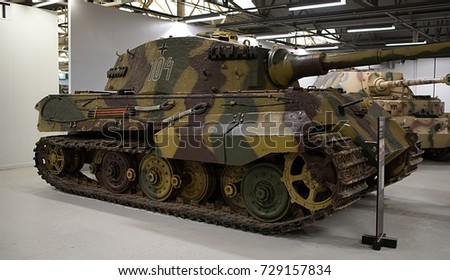 Tiger11