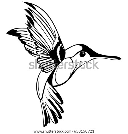 Hummingbird Stock Images, Royalty-Free Images & Vectors | Shutterstock