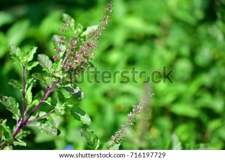 amitriptyline medicine side effects amitriptyline qatar