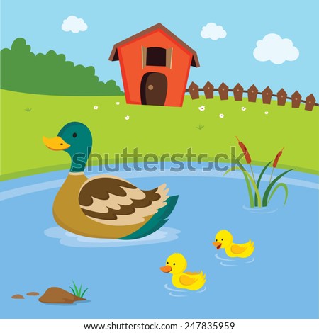 Farm Mother Duck Little Ducklings Swimming Stock Vector 247835959 - Shutterstock