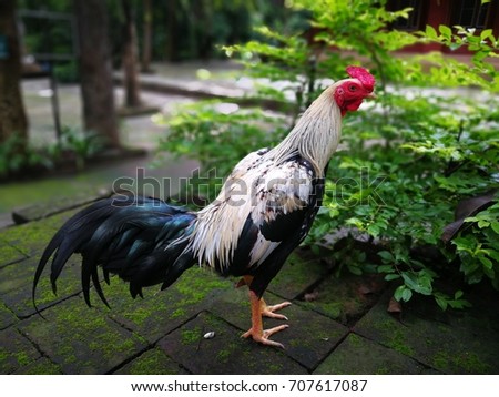 temple of cock Friends having sex movies