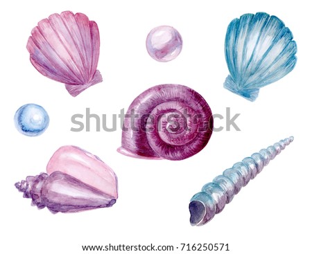 Sea shells and pearls, pink and blue. Watercolor, isolated, compilation.