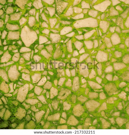 Green Terrazzo Texture Stock Photo Royalty Free 217332211 Green Terrazzo Texture Stock Photo Royalty Free 217332211