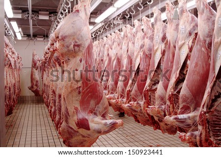 Slaughter house images Slaughter house images