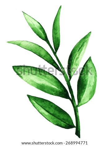 tea leaves essay Below is an essay on tea leaves from anti essays, your source for research papers, essays, and term paper examples tea is made from the young leaves andbuds of the tea plant tea leaves are rich incaffeine (an alkaloid. tea leaves essay Below is an essay on tea leaves from anti essays, your source for research papers, essays, and term paper examples tea is made from the young leaves andbuds of the tea plant tea leaves are rich incaffeine (an alkaloid.