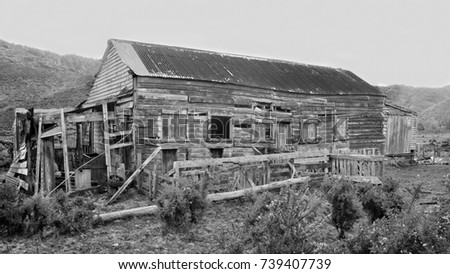 shearing shed stock images, royalty-free images & vectors