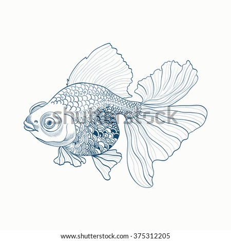 Goldfish - linear pattern. Vector image on white background.