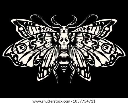 Dead Head Butterfly Isolated On Black Stock Vector (Royalty Free ...
