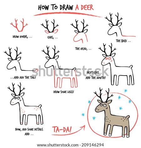 Drawing Tutorial How Draw Deer Step Stock Vector (Royalty Free