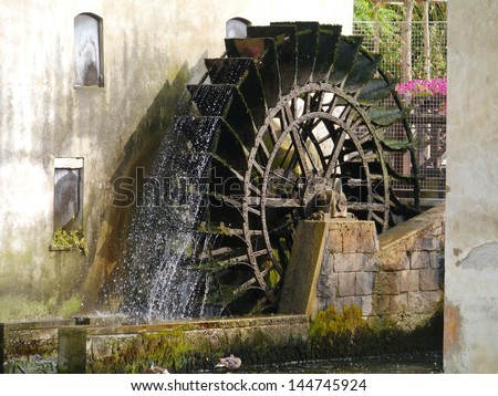 desde la Grecia antigua han utilizado molinos de agua para moler trigo y hacer harina