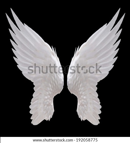 Angel Wings Stock Photos, Royalty-Free Images & Vectors - Shutterstock