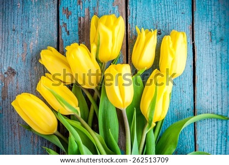 Tulipanes Fotos, imágenes y retratos en stock | Shutterstock