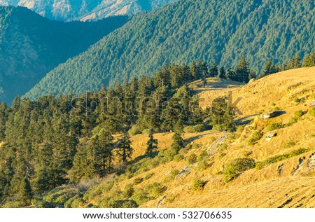 Timberline Stock Images, Royalty-Free Images & Vectors | Shutterstock