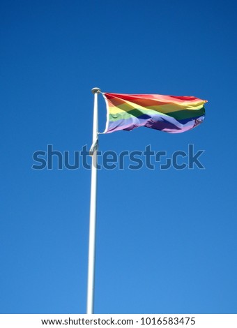 gay and lesbain social movements yougest gay boys penis